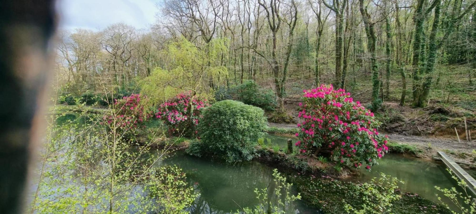 Great Trethew Manor Hotel & Self Catering Lodges 리스커드 외부 사진